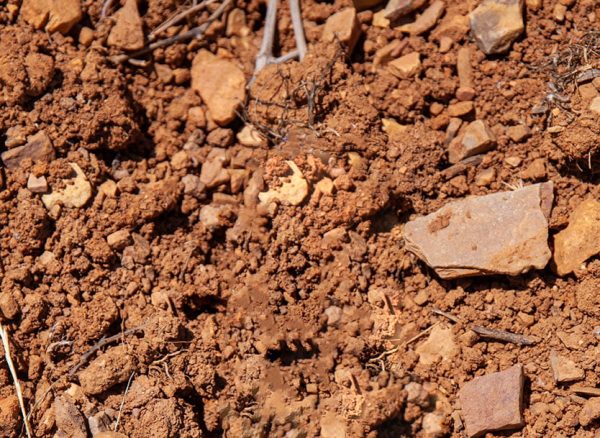 terruno-bodegas-noc_2